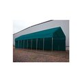 Clearspan Daddy Long Legs Side Panel 30'L Green 30RVSPN10